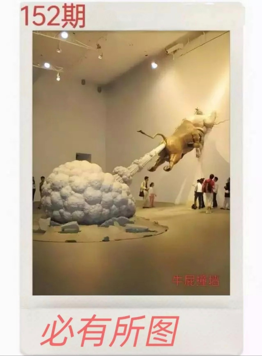 1000050858.jpg